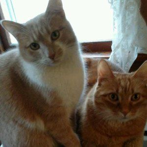 Meet your Posher, Georgene